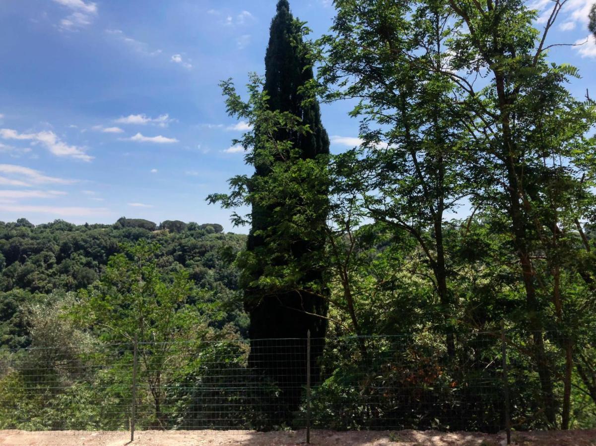 La Casa All'Oliveto Pitigliano Exterior foto